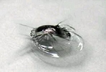   ремонт лобовых ташкенте, продажа автостекол лобовых в Ташкенте: ремонт трещин автостекол в Ташкенте, сколы, клеммы и полировка в Ташкенте